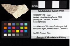 Foto (Objket + Etiketten) von Bullariscus patruliusi (Robins et al., 2013) 